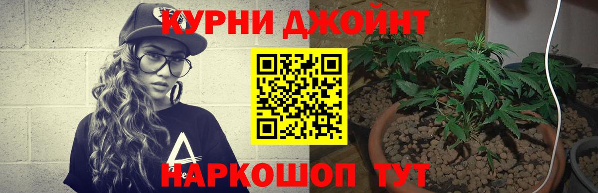 Бошки марихуана Bruce Banner Губкин