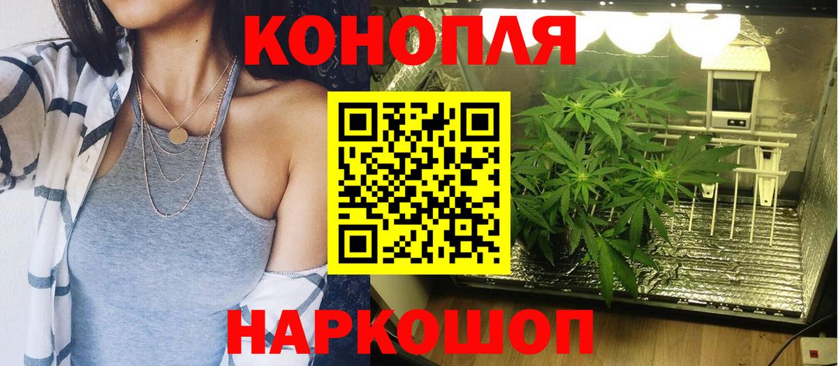 Губкин  Каннабис Amnesia  Каннабис индика  Вход с VPN 
